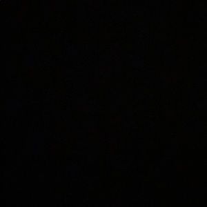 Meet your Posher, Quincy